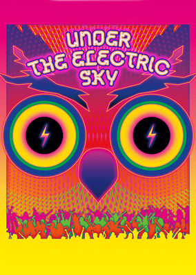 Under the Electric Sky: EDC 2013