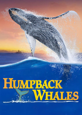 Humpback Whales