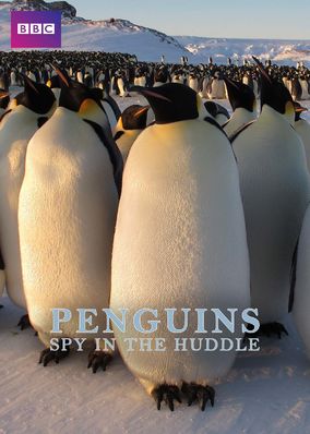 Penguins: Spy in the Huddle