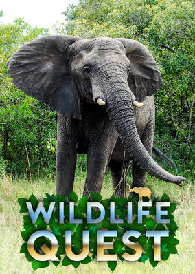 Wildlife Quest