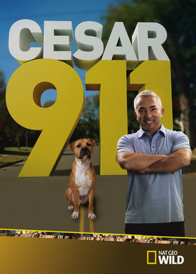 Cesar 911