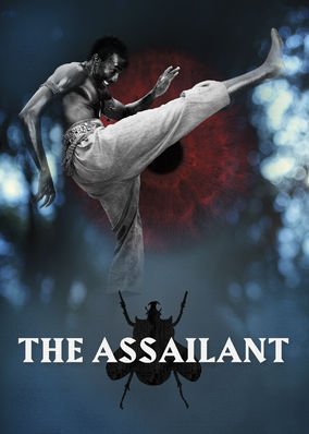 The Assailant