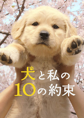 10 Promises to My Dog